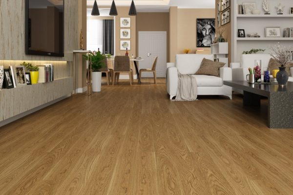 orta_set22_cam4-d14_1